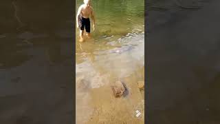 Greenbrier River Monster 25 pound New PB Carp [upl. by Heintz]