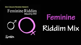 Feminine Riddim Mix 2010 [upl. by Deb93]