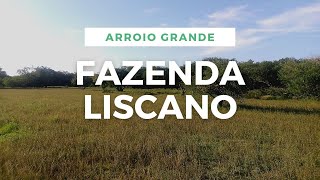 Fazenda Liscano Arroio GrandeRS [upl. by Cr]