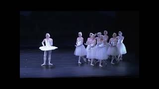 Swan Lake Act II Le Lac des Cygnes [upl. by Rayner]