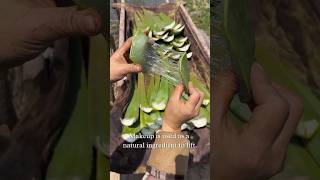 Amazing aloe vera cutting ep91🔪🥬aloevera youtubeshorts [upl. by Roque]