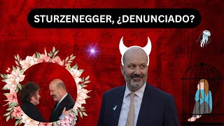 MECHUPAUNHUEVO  STURZENEGGER HASTA LAS MANOS  ¿DENUNCIA POR VIOL4CI0N [upl. by Poirer]