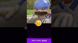 Poor Shin Sonic 😭😭😭😭😭  HorrorSkunx  Bouncing Square sonic [upl. by Koal620]