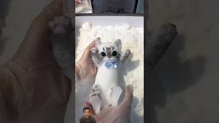 cats sticky toy cast in foam shortsvideo [upl. by Hecht]