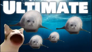 Bouncing Seals ULTIMATE 2022 [upl. by Nedyaj]