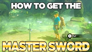 How To Get The Master Sword in Breath of the Wild  Austin John Plays [upl. by Aliekahs437]