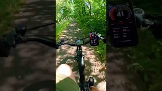 HAOQI ANTELOPE 😲 WILDER wie im DSCHUNGEL 🌴🙈 Fatbike mit richtig POWER ⚠️ haoqi test shorts [upl. by Vachil]