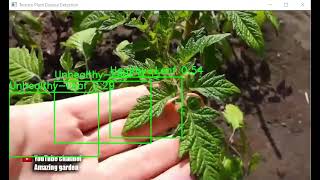 Plant Disease Detection Using YOLOv8 [upl. by Pascia]