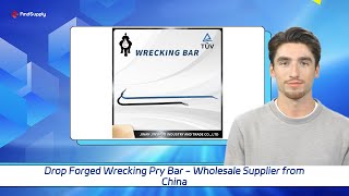 Drop Forged Wrecking Pry Bar  Wholesale Supplier from China [upl. by Abdel]