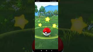 ✨Shiny✨ pineco  Pokémon Go 🤩🤩🤩 [upl. by Zitvaa]