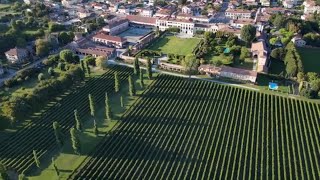 Exclusive Wine Tasting Experience at Villa Widmann Borletti Dominio di Bagnoli [upl. by Paule205]