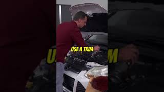 The BEST detail spray for engine bays [upl. by Arlene]