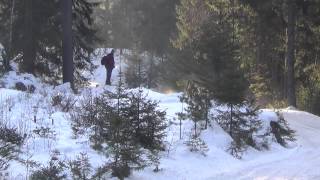 Rally Sigdal 2015 cam 3 SS 2 3 og 6 [upl. by Isaiah]