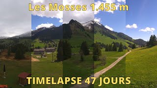 Leysin  Les Mosses  La Lécherette ⏩ Timelapse 47 jours [upl. by Persse356]