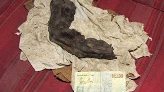 MUMMIFIED GIANT FINGER FOUND IN EGYPT 2012 [upl. by Willyt]