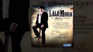 Lalo Mora No Soy Monedita de Oro [upl. by Nylynnej]