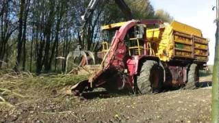 Forestry in Holland [upl. by Drandell811]