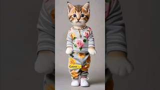 Billi ka dance😇 billi ka video [upl. by Llehcim]