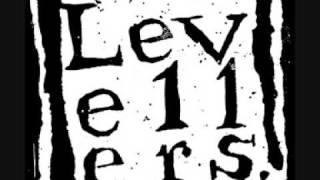 Too Many Years  Levellers [upl. by Pillihpnhoj]