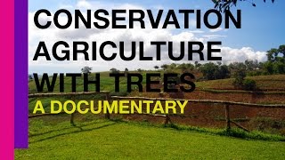 Conservation Agriculture with Trees in the Philippines A Documentary [upl. by Zenobia627]