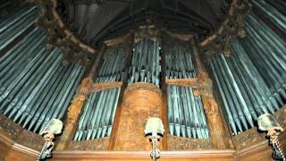 St Patricks Cathedral Organ  Andrew McKeon [upl. by Yaniv]