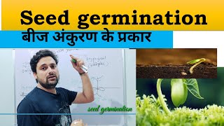 seed germination types in hindi  बीज अंकुरण के प्रकार  epigeal or hypogeal germination types [upl. by Rieger548]