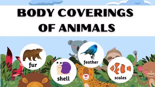 Body Coverings of Animals  Science Lesson for Kids [upl. by Conah]