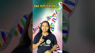 DNA replication easy explanation by animation dnareplication animation neet viralshorts [upl. by Ayanej]