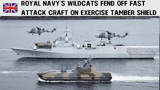 Royal Navys Wildcats fend off fast attack craft on Exercise Tamber Shield [upl. by Stormie]