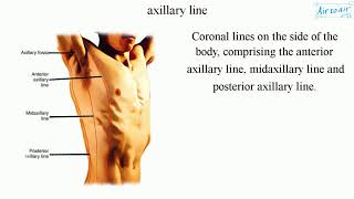 axillary line English  Medical terminology for medical students [upl. by Lirrehs]