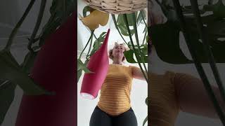 Watering my Monstera plants comedy funny [upl. by Bridgette]