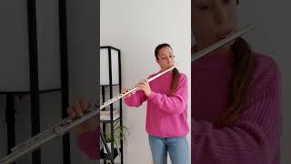 Introduction and Rondo Capriccioso Op 28 by C Saint Saëns saintsaens introduction rondo flute [upl. by Sheela]