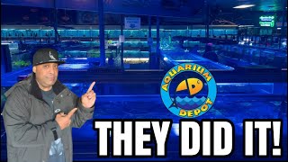 BIGGEST AQUARIUM FISH SALE OF THE YEAR [upl. by Rozele]