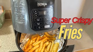 Super Crispy French Fries using Ninja Air Fryer [upl. by Zumwalt]