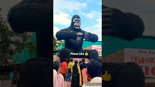 Funny video Really Beautiful Videos Only RN Super First re [upl. by Aititil]