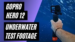 Taking a GoPro HERO 12 Black Underwater  Sample Test Footage [upl. by Laitselec]