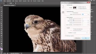 Auswahlen verbessern  Adobe Photoshop CS6  Die Grundlagen [upl. by Mesics]