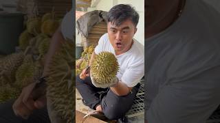 Durian montong terkecil doniartawan [upl. by Schoenfelder]