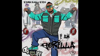 Gorilla Zoe  Free Falling [upl. by Vinni]