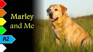 Marley and Me by John Grogan  A2  English Stories [upl. by Yacov624]