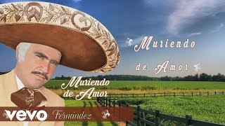 Vicente Fernandez  A Pesar De Todo Versión Karaoke [upl. by Dori]