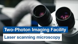 2PIF – the TwoPhoton Imaging Facility of the IZKF Aachen [upl. by Valiant283]