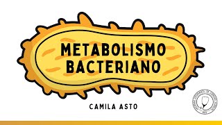 METABOLISMO BACTERIANO  Microbiología [upl. by Yllitnahc]