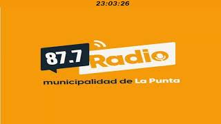 ENSILLANDO UN CIMARRÓN programa 7112024 [upl. by Royce]