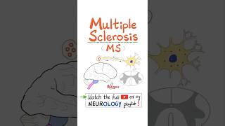 Multiple Sclerosis MS Demyelinating Autoimmune Disease  Part 3…anatomy neuro nurse mbbs [upl. by Aihtnyc622]