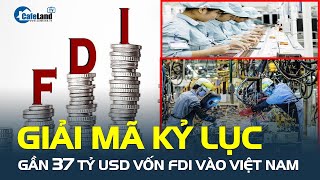 Giải mã KỶ LỤC Gần 37 tỷ USD vốn FDI vào Việt Nam trong năm 2023  CafeLand [upl. by Atiuqnahs]