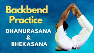 Dhanurasana  Bhekasana  Backbend Yoga Practice  Anmol Singh backbend backbendyoga dhanurasana [upl. by Aseeram]