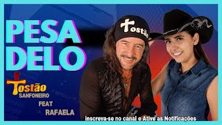 Pesadelo Tostão Sanfoneiro e Rafaela AO VIVO [upl. by Nylirret630]