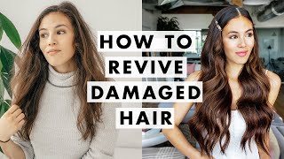 How to Fix Damaged Hair [upl. by Attalanta]