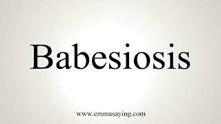 How To Pronounce Babesiosis [upl. by Skyla]